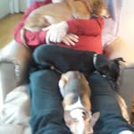 Jim Renaud - @jimr9620 - Instagram