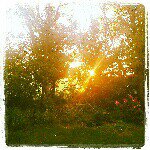 Jim Roark - @jimroark98 - Instagram