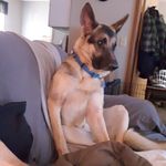 Jim Roark - @0harley4 - Instagram