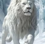 Jim Rodriguez - Facebook