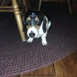 Jim Roeder - @roeder_jim - Instagram