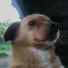 ROMA - @jim.roma - TikTok
