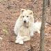 Jim Rubin - Facebook