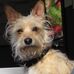 Jim Rutherford - Facebook