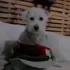 Jimena Ruiz Zepeda - @jimruzz - TikTok