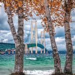 Jim SaintAmour - @jimsaintamour - Instagram