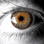 Jim Schulte - @jimbo_schu - Instagram