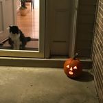 Jim Schulte - @schulte8062 - Instagram
