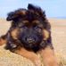 Jim Scully - Facebook