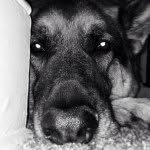 jimscully - @jimscully - Instagram