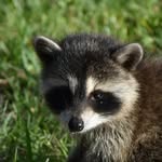 Jim Severson Kim Severson - @jimseverson317 - Instagram