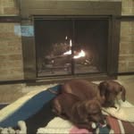 Jim Sheets - @jim.sheets.351 - Instagram