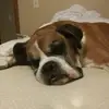 jimbosheets - @jimbosheets - TikTok