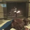 jimsheets48 - @jimsheets48 - TikTok