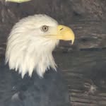 Jim Shirk - @jim.shirk.549 - Instagram
