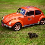 jim singleton - @jstruckin72 - Instagram