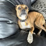 Jim Slagle - @jim.slagle - Instagram