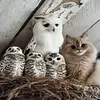 Jim Slaton - @jim.slaton - TikTok
