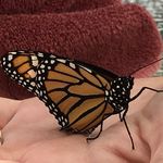 Jim Slavin - @jim_slavin - Instagram