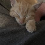Jim Slavinski - @jimslavin97 - Instagram