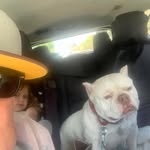 Jim Smithson - @jim.smithson.1958 - Instagram