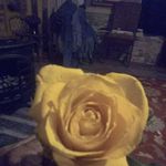 Jim Snapp - @jim.snapp.18 - Instagram
