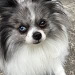 Jim Snider - @deepfry53 - Instagram