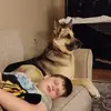 Jim Snider - @jim.snider51 - TikTok