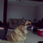 Judy Somerville - @jim.somerville.5855 - Instagram