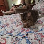 Jim Spivey - @jim_spivey2002 - Instagram