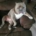 Jim Spivey - Facebook