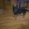 Jimmy Huffstetler - @jimmy.huffstetler - TikTok