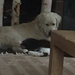 Jim Stoll - @jimstoll57 - Instagram
