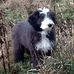 Jim Stott - Facebook