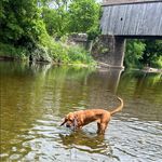 Jim Strange Jr - @jim_strangejr - Instagram