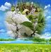 James Sturm - Facebook