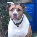 Jim Sylvester - @jimecat - Instagram