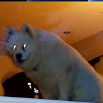Jim Sylvester - @jim.sylvester.94064 - Instagram