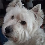 Jim Talbot - @jim.talbot.96930 - Instagram