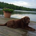 Jim Talbot - @talbot5205 - Instagram