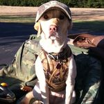 Jim Talbott - @jim.talbott - Instagram