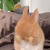 Jim Tam - @user1546057349554 - TikTok