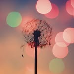 Jimtam - @jimtam1629 - Instagram