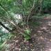 Jim Terrell Park - Facebook