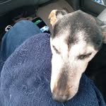 Jim Teter - @jteter1958 - Instagram