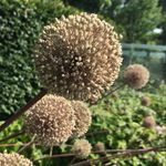 @jim_thurston87 - Instagram