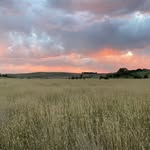 Jim Tilley - @jimtilley08 - Instagram