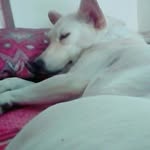 Jim_Tim - @_jim_tim - Instagram