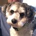 Jim Timony - Facebook