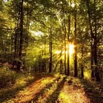 Jim Tonik - @jim.tonik.39 - Instagram